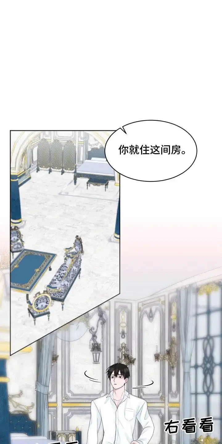 《快穿异世界爽文》第3话 第15页