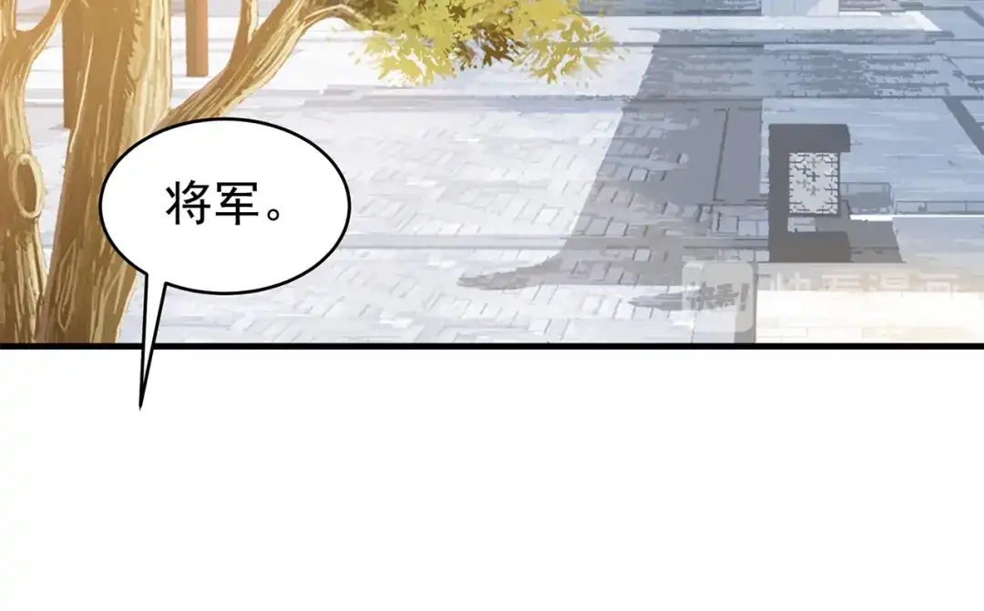 狂女重生：纨绔七皇妃 第126话 她的发簪 第81页