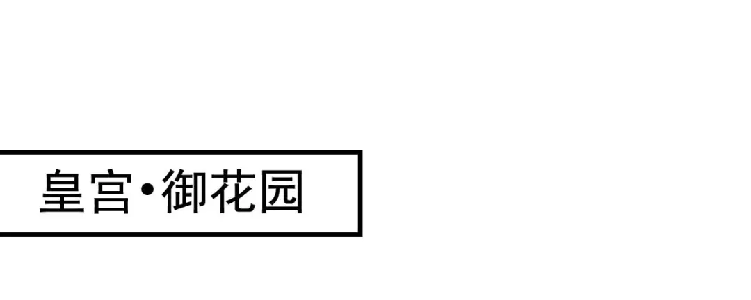 狂女重生：纨绔七皇妃 第149话 亲爱的，帮个忙 第72页