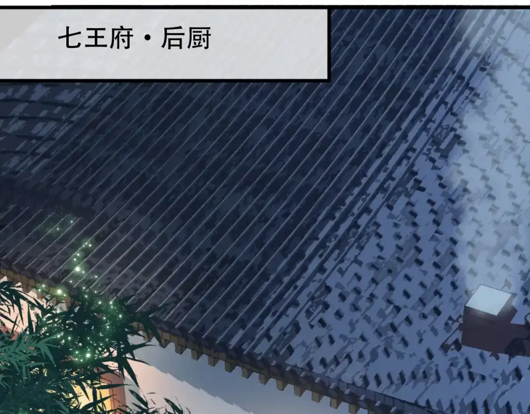 狂女重生：纨绔七皇妃 第161话 夜潜王府 第69页