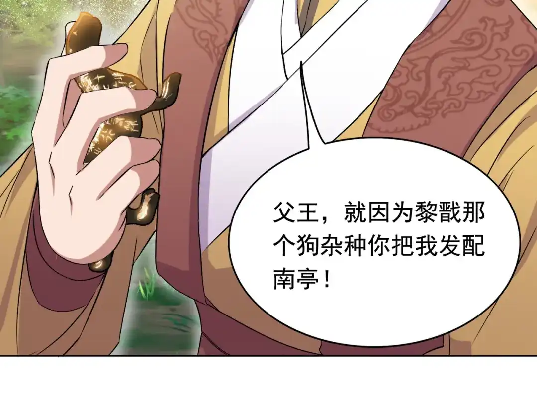 狂女重生：纨绔七皇妃 第165话 皇子谋反 第74页
