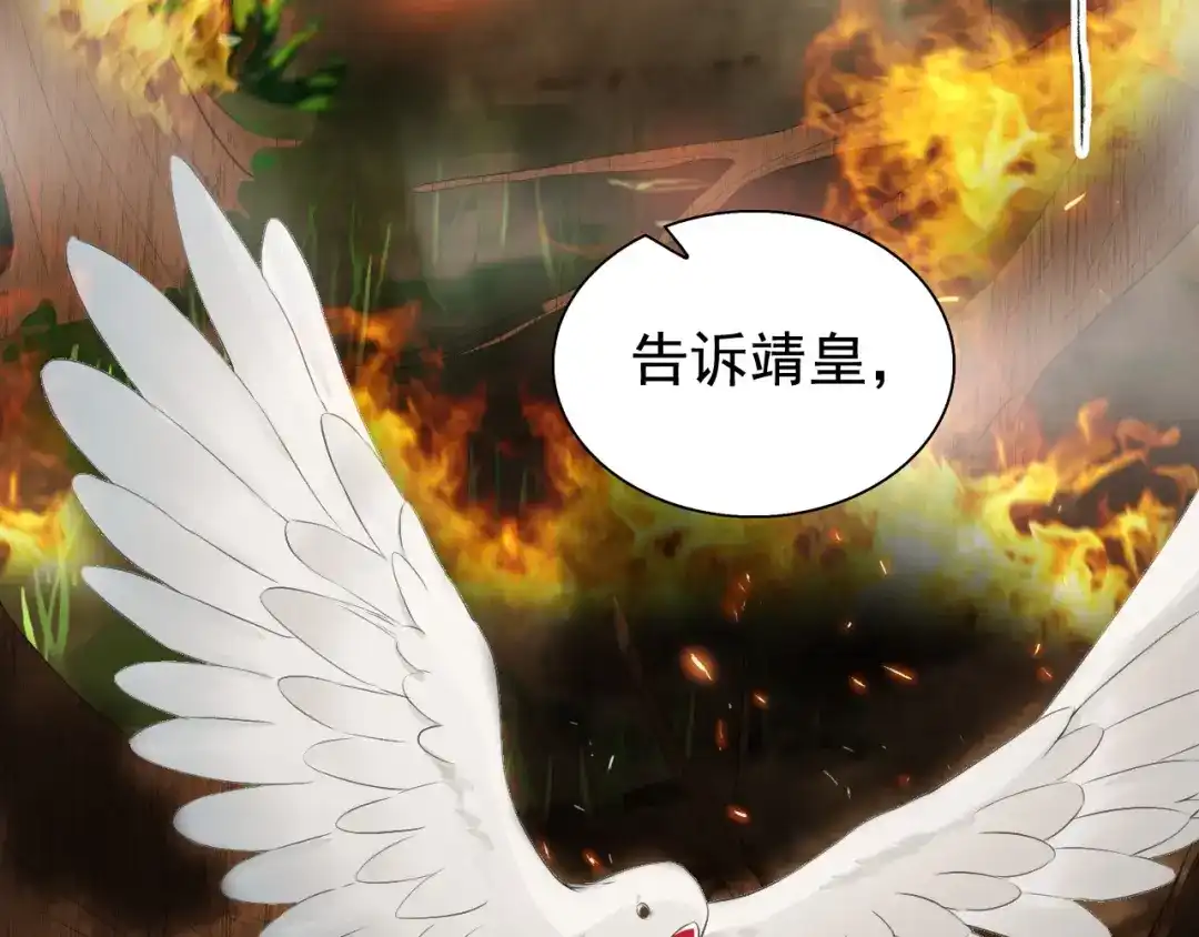 狂女重生：纨绔七皇妃 第191话 放火烧林 第82页