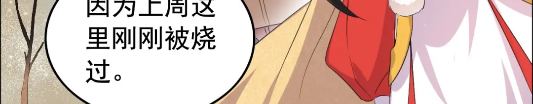 狂女重生：纨绔七皇妃 第191话 放火烧林 第62页