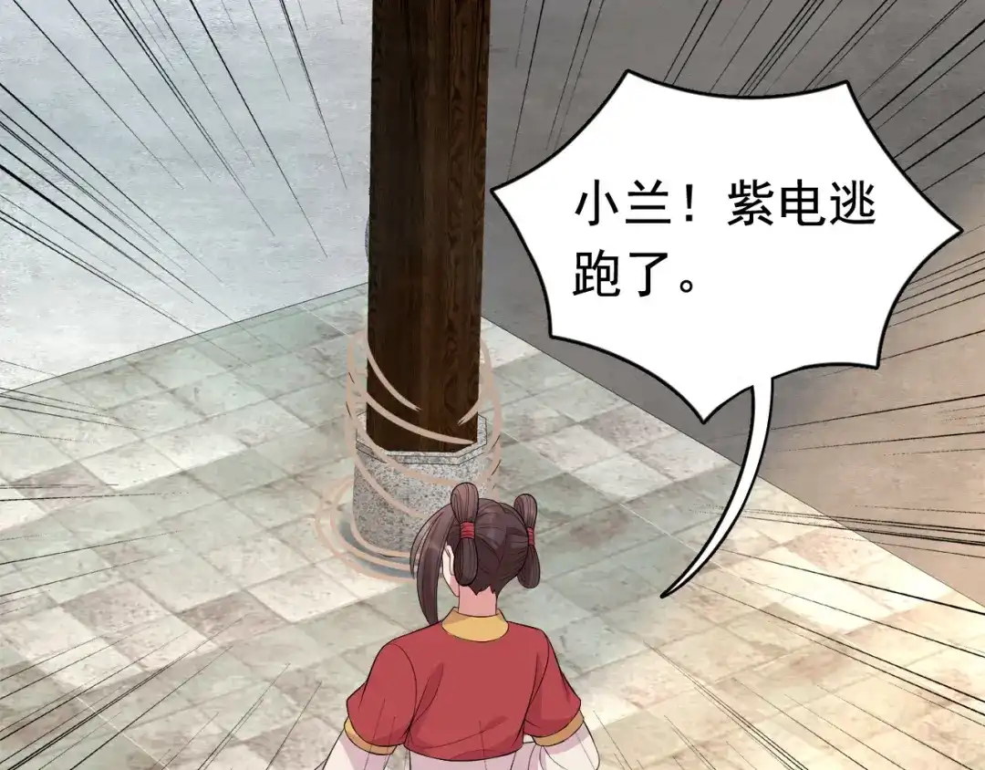 狂女重生：纨绔七皇妃 第264话 真假闪电 第67页