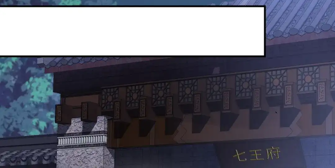 狂女重生：纨绔七皇妃 第280话 不平静的夜 第67页