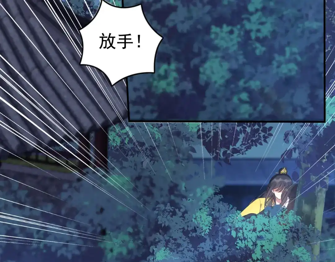 狂女重生：纨绔七皇妃 第283话 似曾相识 第27页