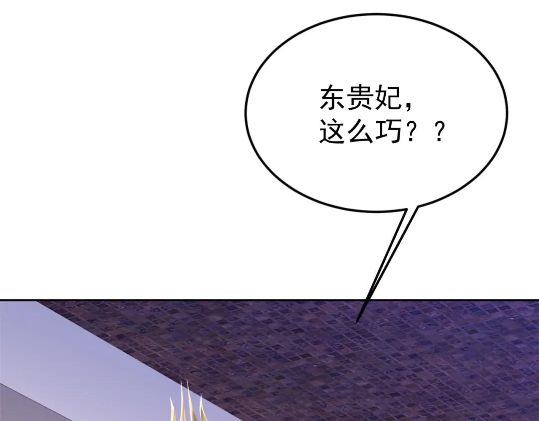 狂女重生：纨绔七皇妃 第290话 我走了，我装的 第61页