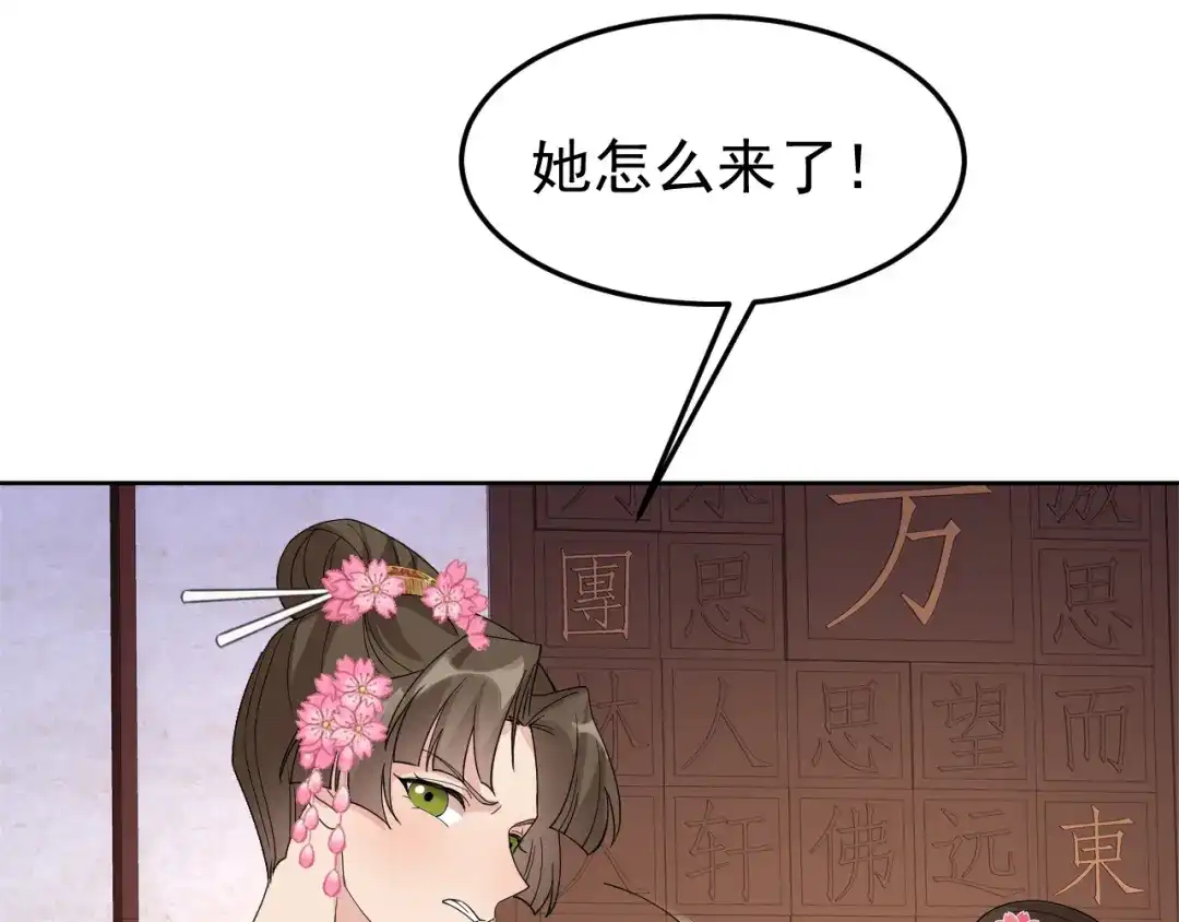 狂女重生：纨绔七皇妃 第290话 我走了，我装的 第9页