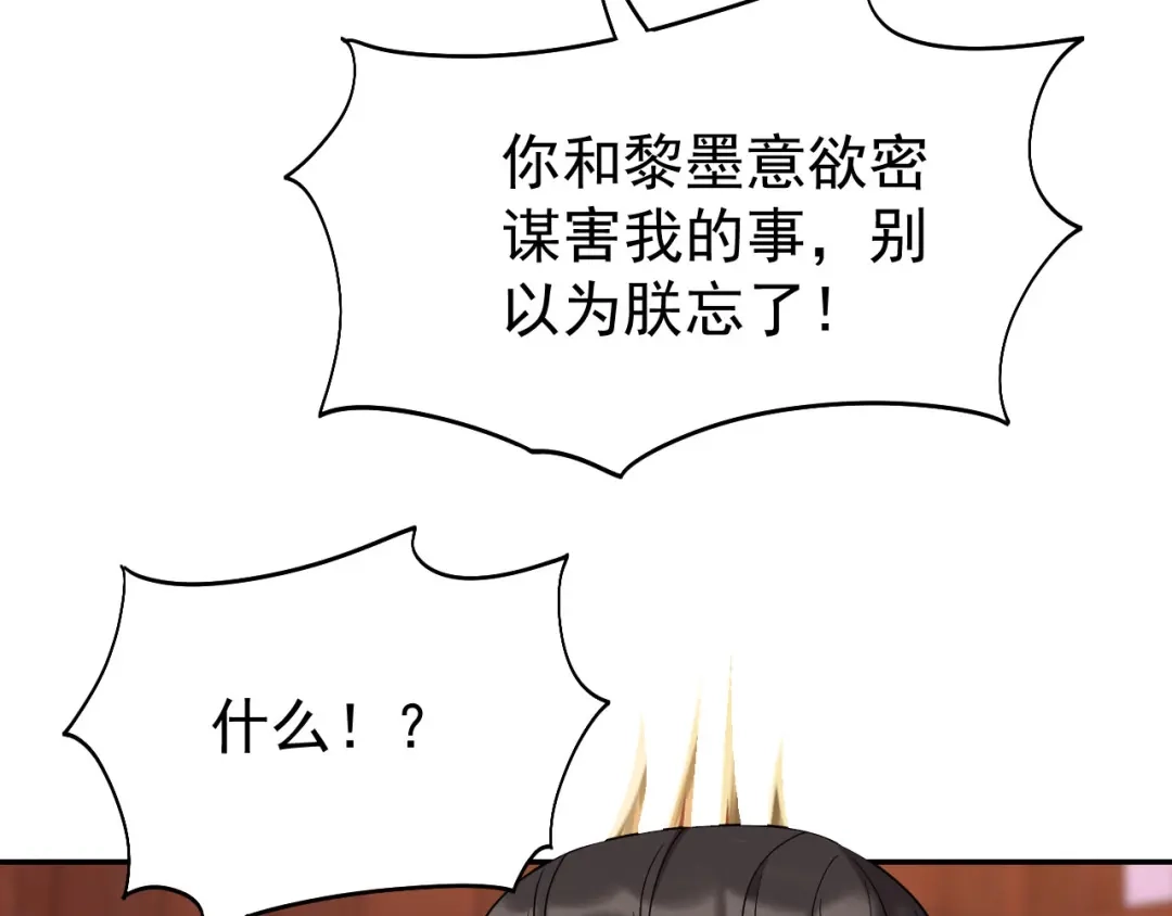 狂女重生：纨绔七皇妃 第293话 谁这么大胆 第129页