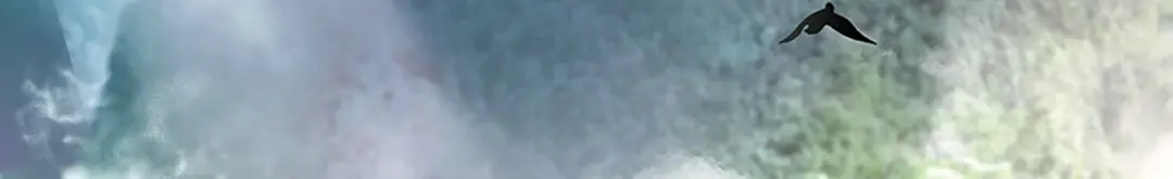 狂女重生：纨绔七皇妃 第317话 等我回来 第6页