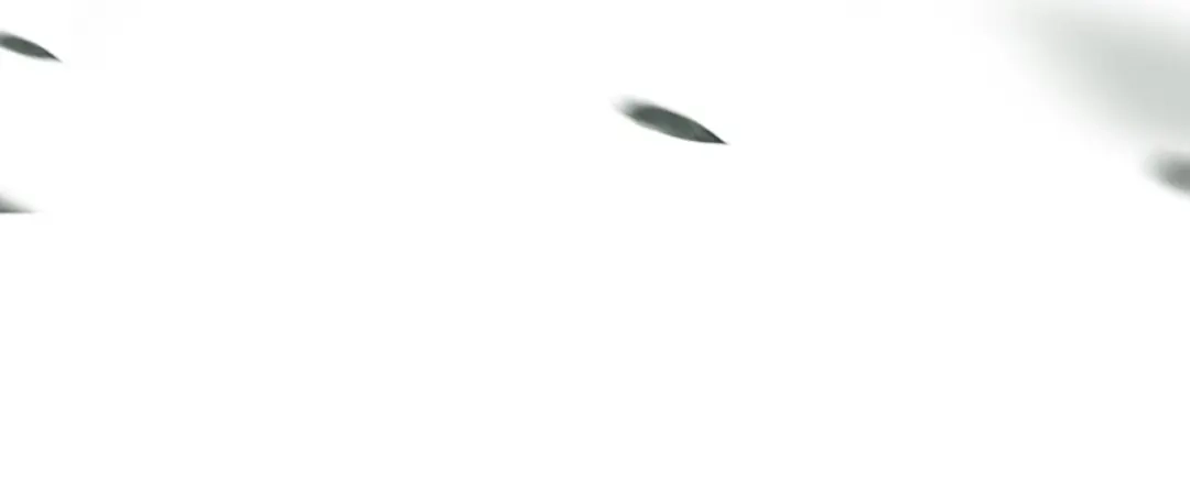 狂女重生：纨绔七皇妃 第77话 秋雨你还有我 第67页