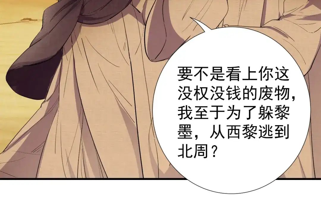 狂女重生：纨绔七皇妃 第86话 黑衣人 第21页