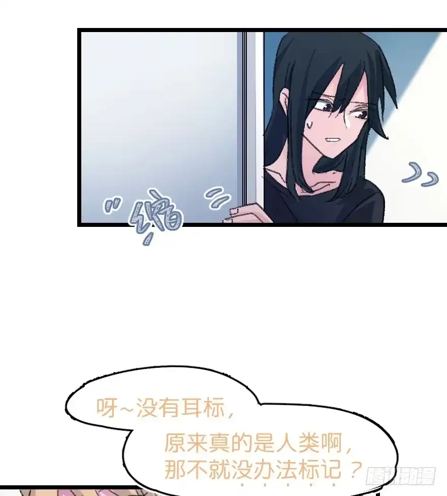 《狂犬》捣乱？ 第38页
