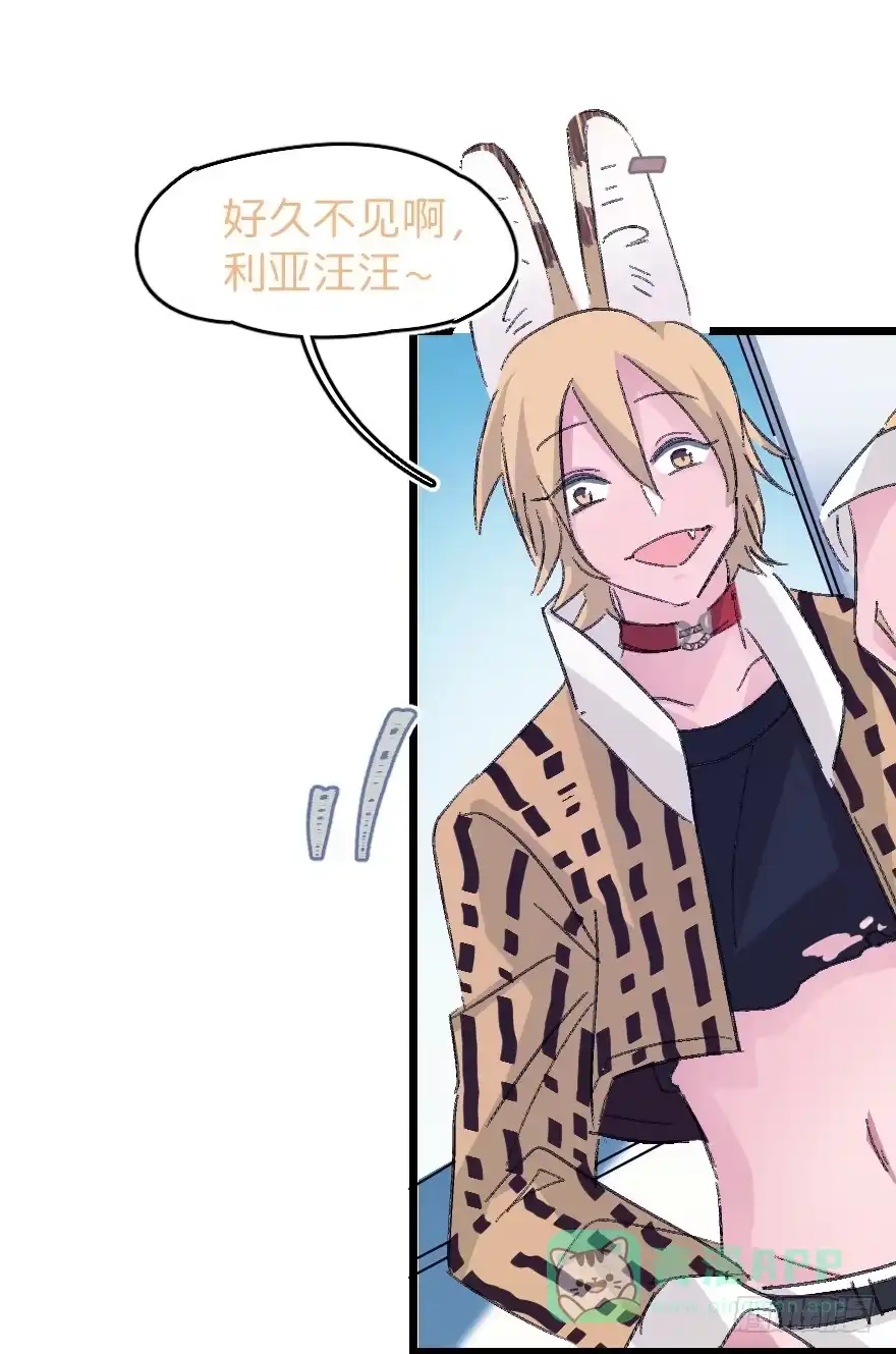 《狂犬》捣乱？ 第41页