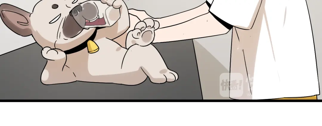 狼的谎言 第34话 弱者为王1 第53页
