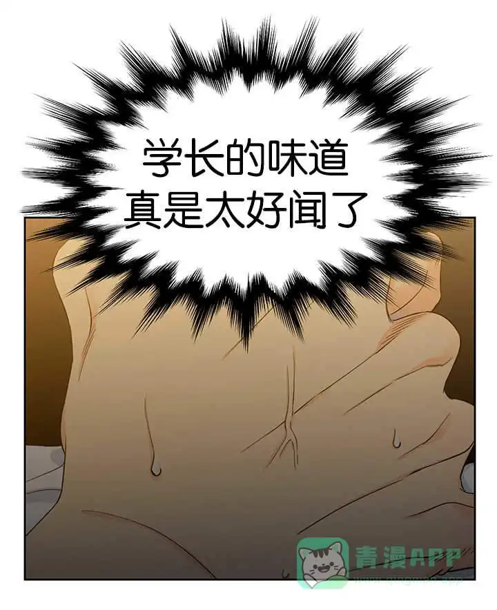 《狼的香气》第11话 第1页