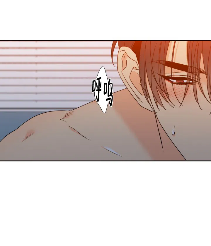 《狼的香气》第241话 第5页