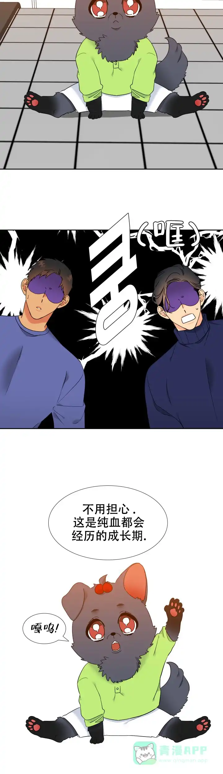 《狼的香气》第242话 第6页
