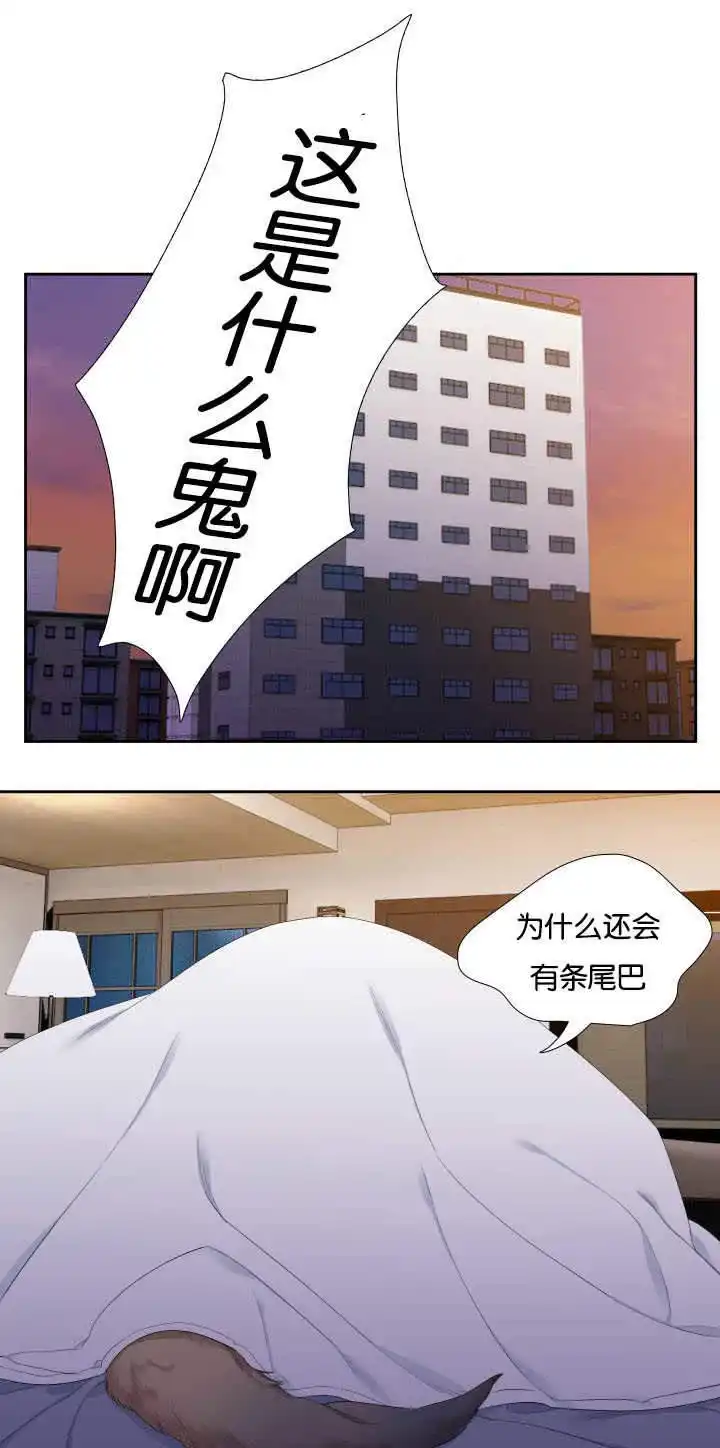 《狼的香气》第31话 第4页