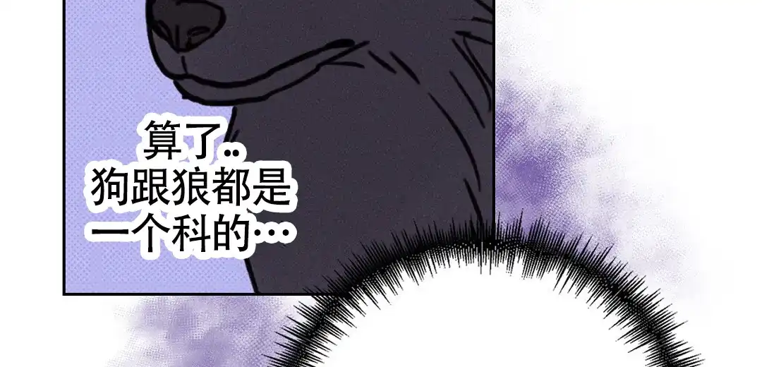 《狼人之恋》第10话 第15页