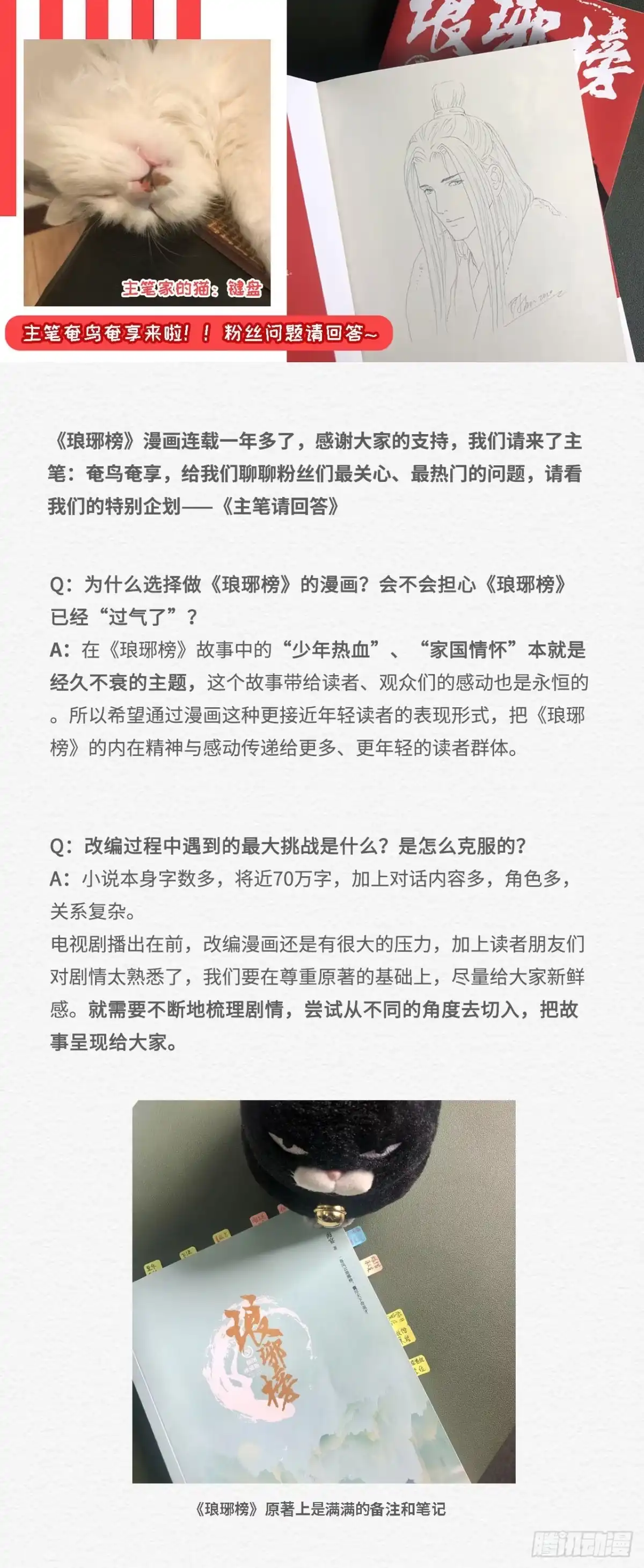 《琅琊榜》主笔问答 第1页