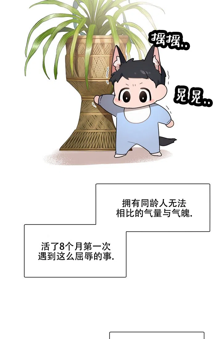 老板的小宝贝 第145话 第3页