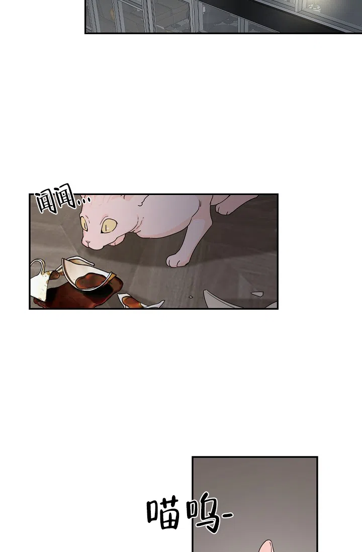 老板的小宝贝 第66话 第19页