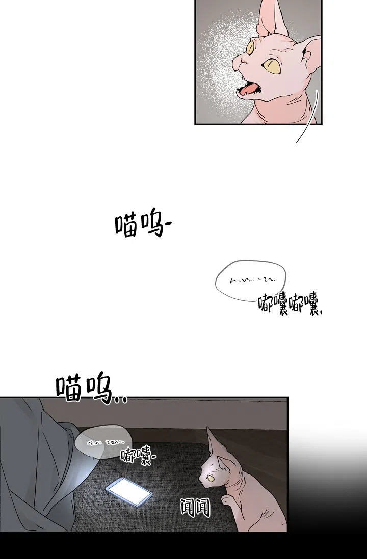 老板的小宝贝 第66话 第20页