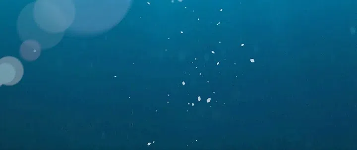 老板的小宝贝 第74话 第27页