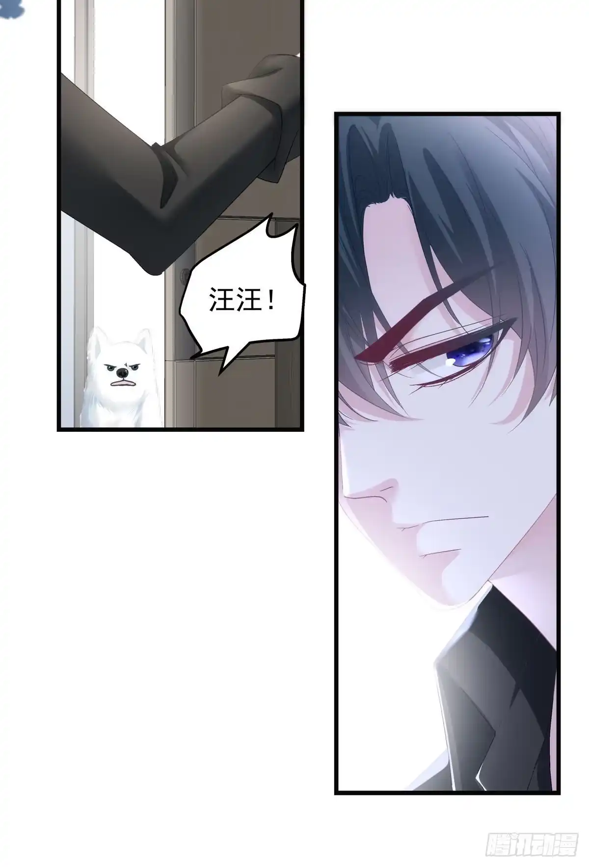 老公每天换人设 59 第13页