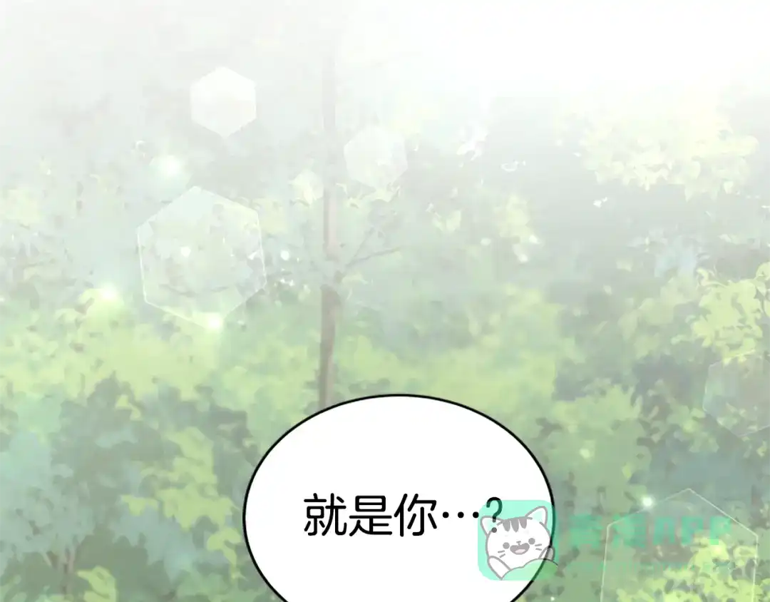 《蕾伊娜的龙》第11话 表哥？ 第176页