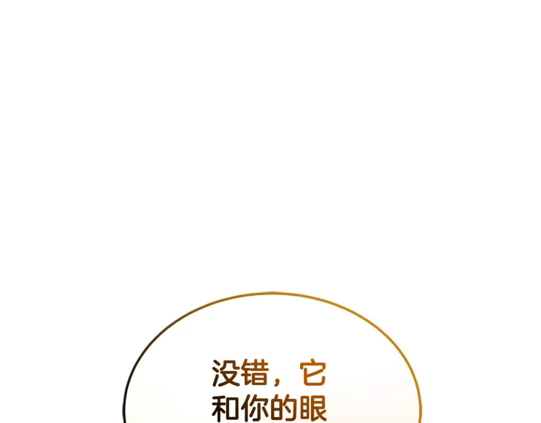 《蕾伊娜的龙》第1话 无赖小姐 第233页