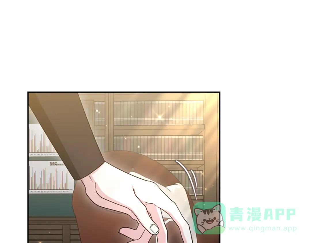 《蕾伊娜的龙》第44话 母亲的遗物 第101页