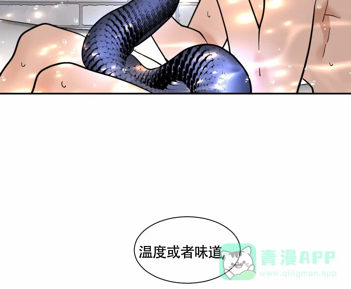 冷血动物 第202话 第31页