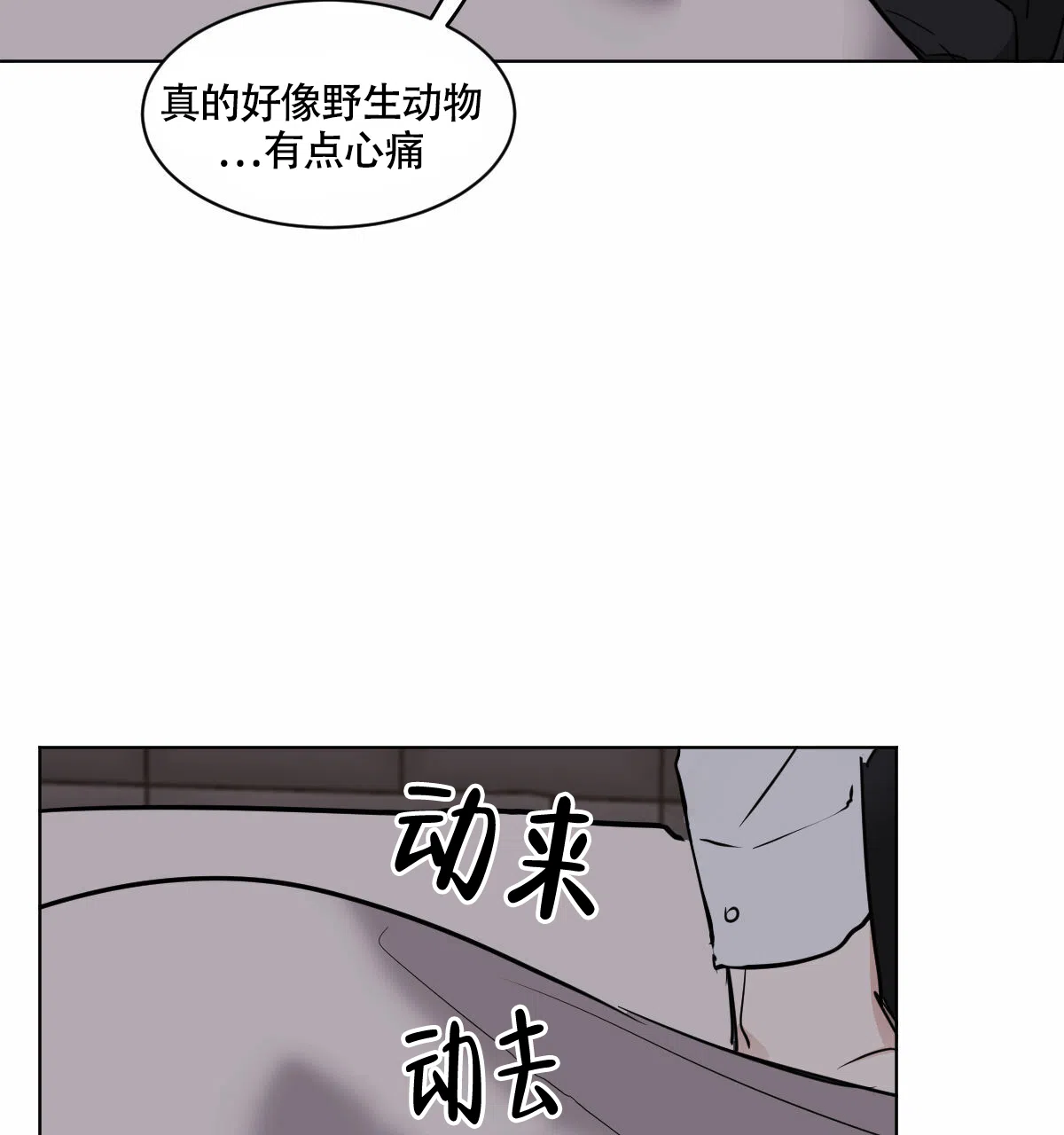 冷血动物 第31话 第29页