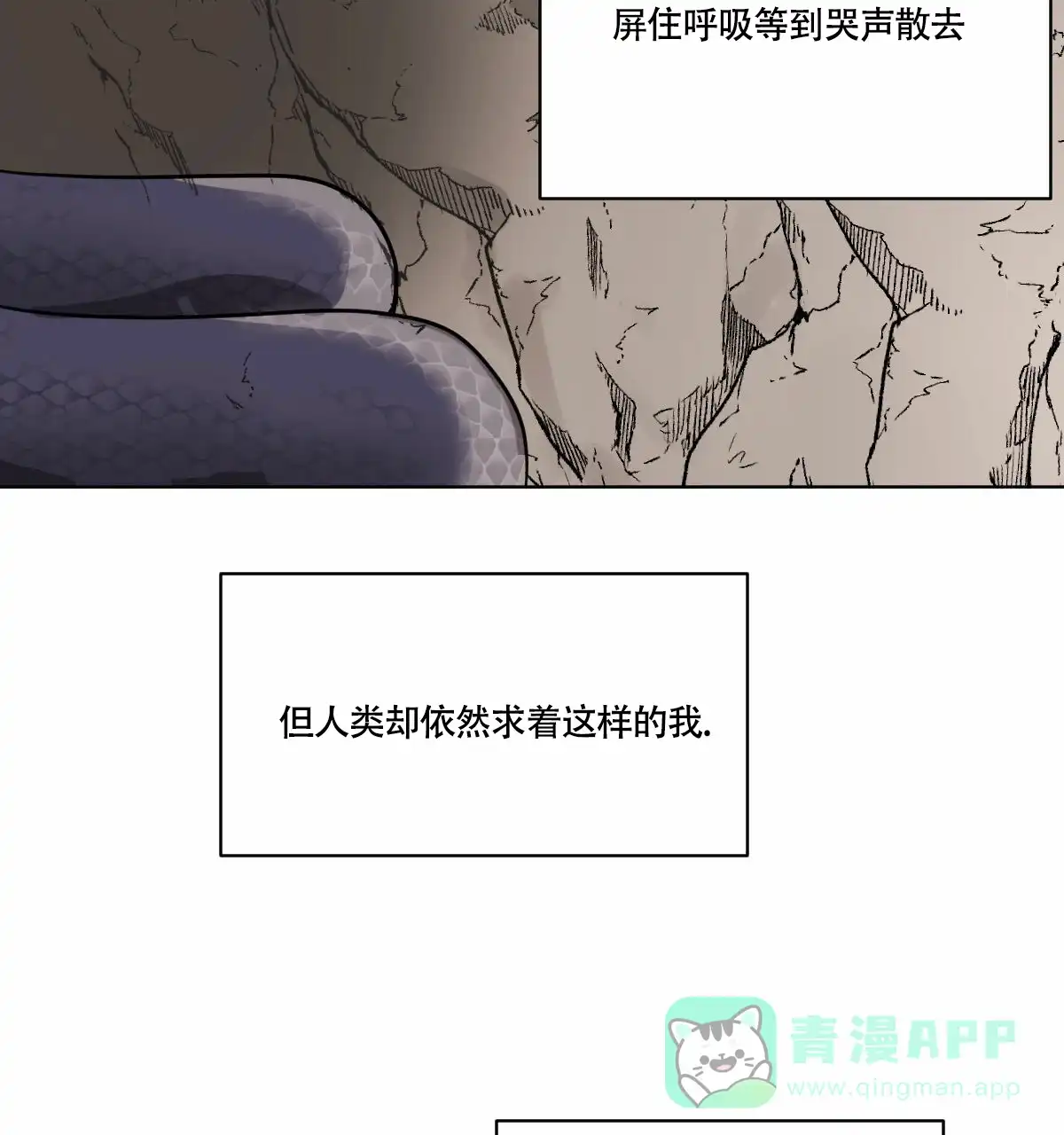冷血动物 第62话 第6页