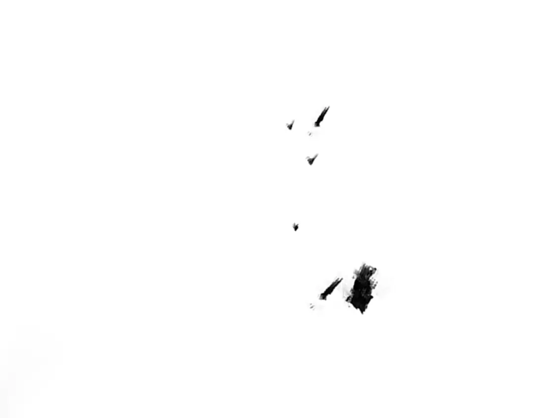 90.jpg