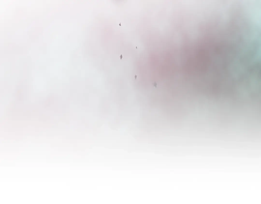 175.jpg