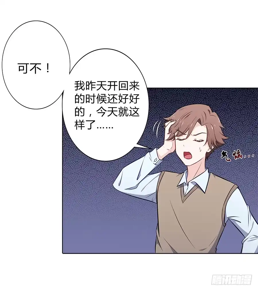 《恋爱云书》101 软肋与盔甲 第3页