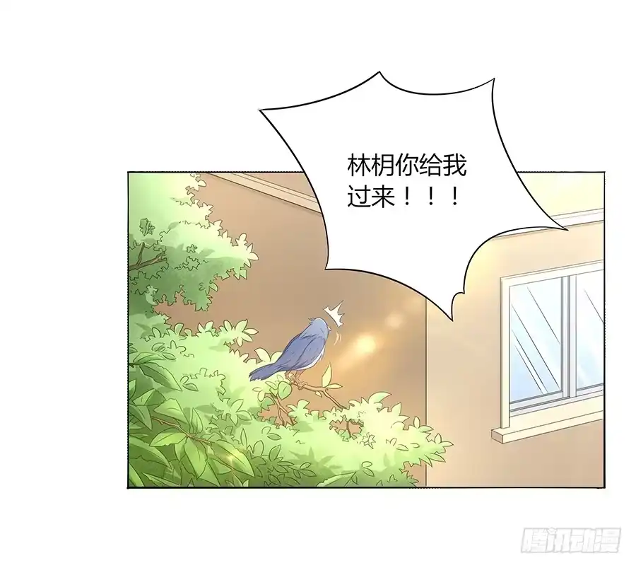《恋爱云书》035告白要在酒醒时 第4页