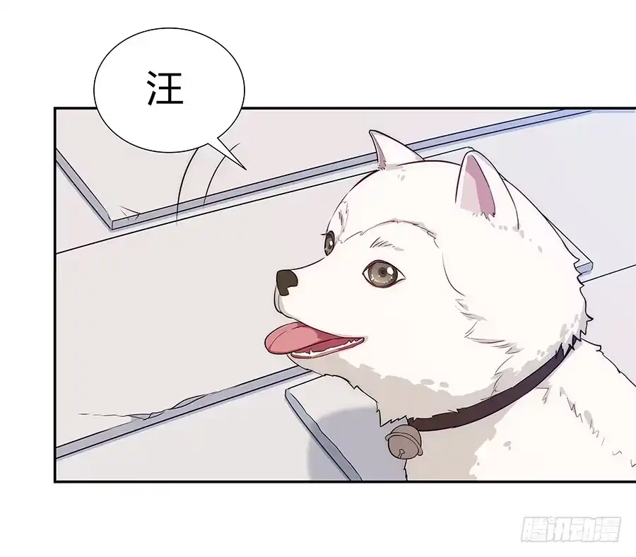 《恋爱云书》069耍大牌翻车现场 第43页