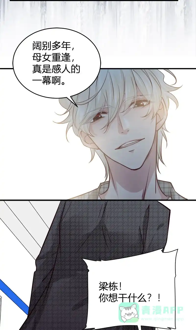 《恋爱战争》第66话 情花试剂 第6页