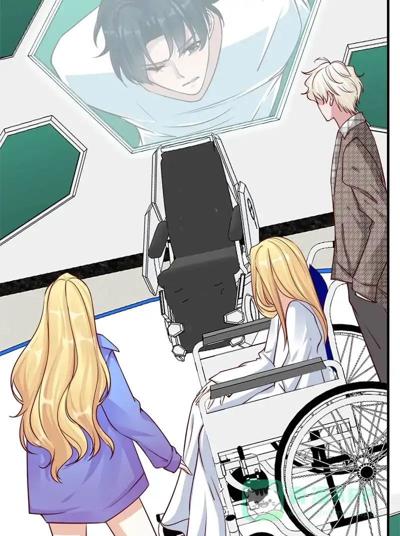 《恋爱战争》第66话 情花试剂 第18页