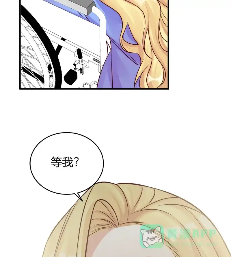 《恋爱战争》第66话 情花试剂 第48页