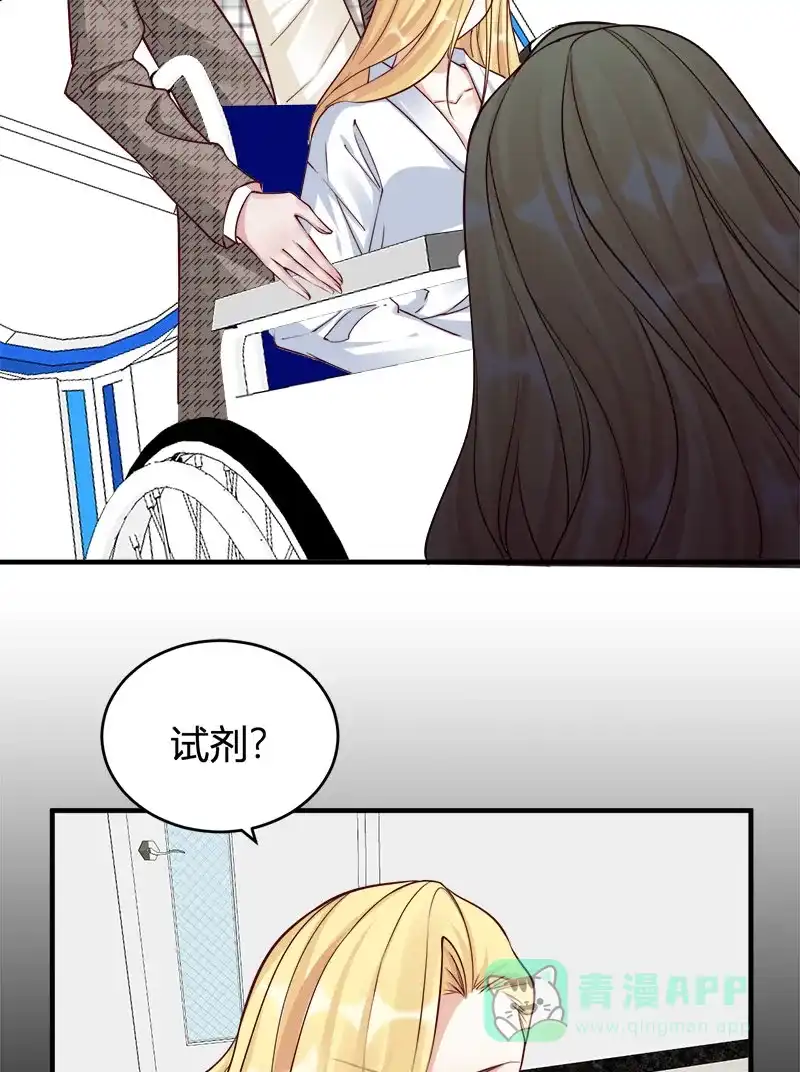 《恋爱战争》第66话 情花试剂 第11页