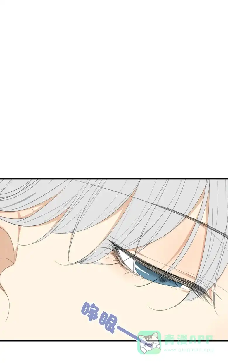 《量身定爱》第11话 第13页