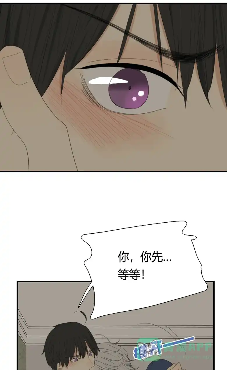 《量身定爱》第13话 第39页