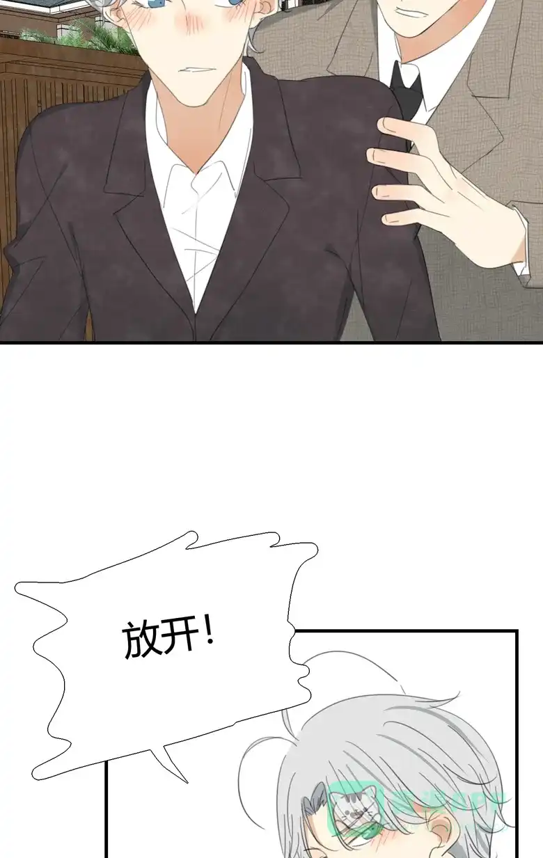 《量身定爱》第15话 第33页