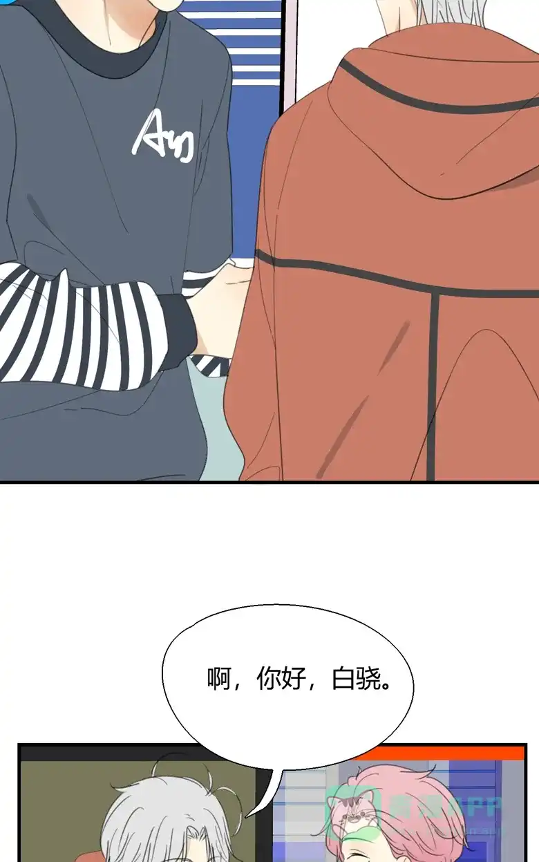 《量身定爱》第21话 第36页