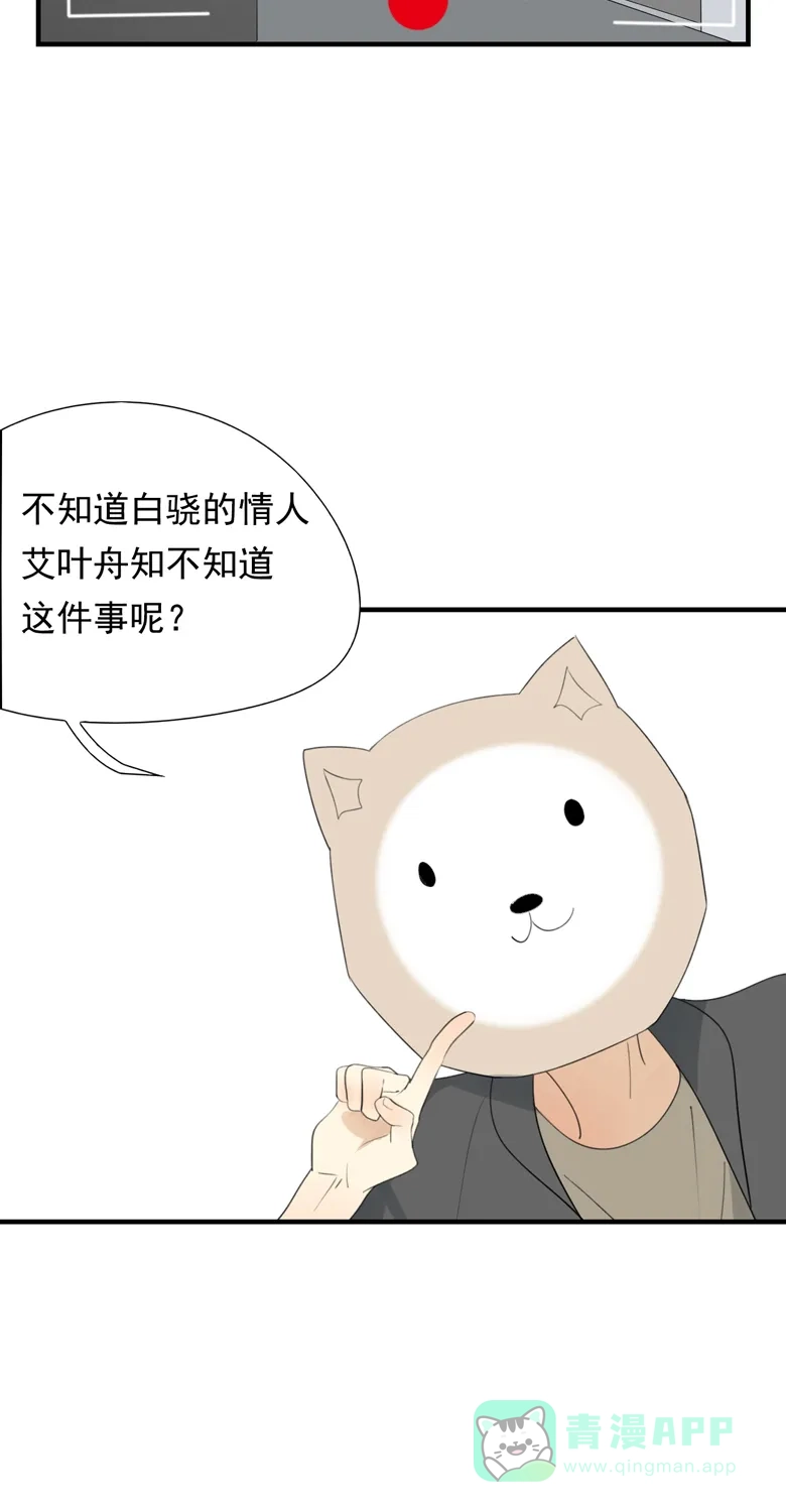《量身定爱》第37话 第15页